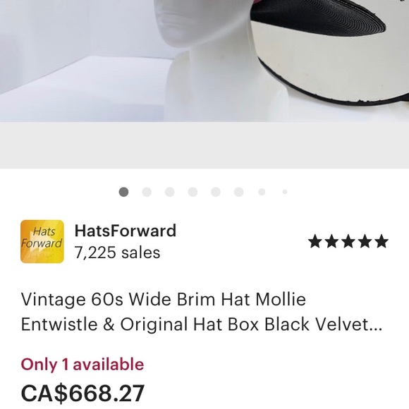 Wide Brimmed FurFelt Hat - Picture 7 of 9